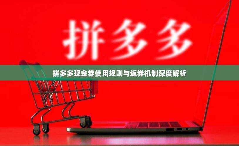 拼多多现金券使用规则与返券机制深度解析-第1张图片-拼多多助力