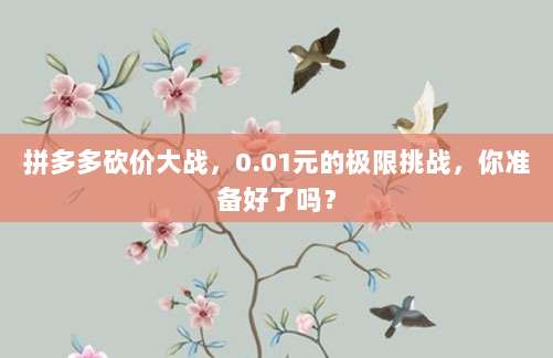 拼多多砍价大战，0.01元的极限挑战，你准备好了吗？-第1张图片-拼多多助力