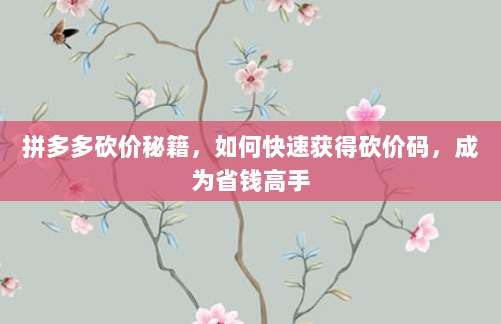 拼多多砍价秘籍,如何快速获得砍价码,成为省钱高手-第1张图片-拼多多助力 拼多多砍价秘籍,如何快速获得砍价码,成为省钱高手-第1张图片-拼多多助力