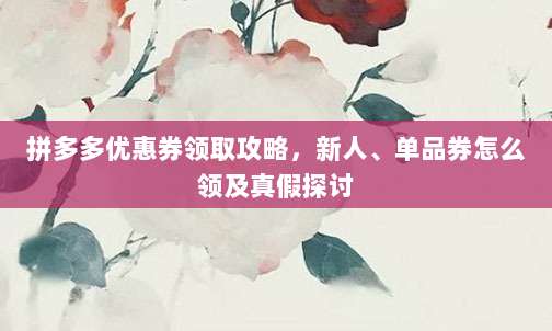 拼多多优惠券领取攻略,新人、单品券怎么领及真假探讨-第1张图片-拼多多助力 拼多多优惠券领取攻略,新人、单品券怎么领及真假探讨-第1张图片-拼多多助力
