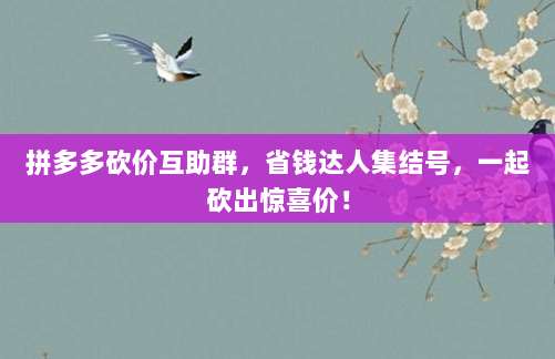 拼多多砍价互助群，省钱达人集结号，一起砍出惊喜价！-第1张图片-拼多多助力