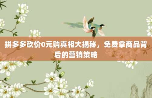 拼多多砍价0元购真相大揭秘,免费拿商品背后的营销策略-第1张图片-拼多多助力 拼多多砍价0元购真相大揭秘,免费拿商品背后的营销策略-第1张图片-拼多多助力