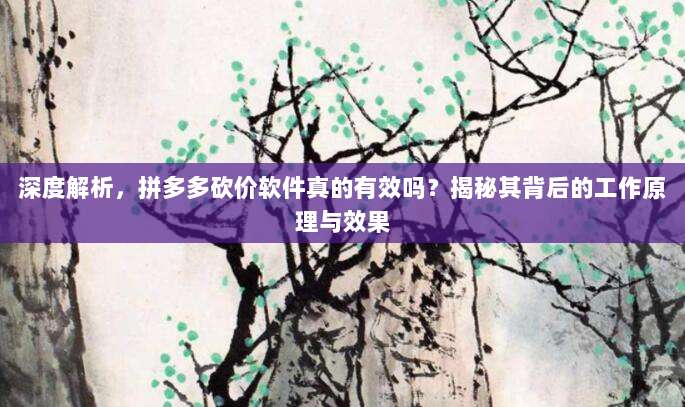 深度解析，拼多多砍价软件真的有效吗？揭秘其背后的工作原理与效果-第1张图片-拼多多助力