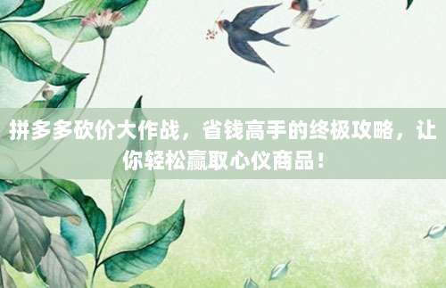 拼多多砍价大作战,省钱高手的终极攻略,让你轻松赢取心仪商品!-第1张图片-拼多多助力 拼多多砍价大作战,省钱高手的终极攻略,让你轻松赢取心仪商品!-第1张图片-拼多多助力