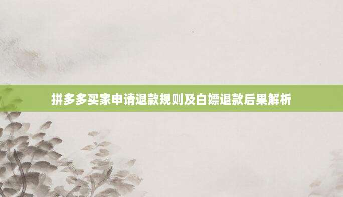 拼多多买家申请退款规则及白嫖退款后果解析-第1张图片-拼多多助力 拼多多买家申请退款规则及白嫖退款后果解析-第1张图片-拼多多助力