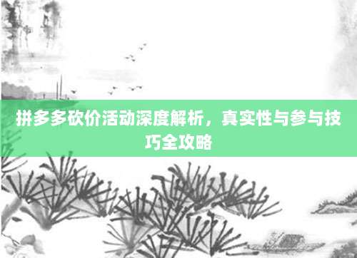 拼多多砍价活动深度解析，真实性与参与技巧全攻略-第1张图片-拼多多助力