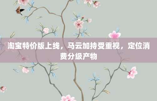 淘宝特价版上线，马云加持受重视，定位消费分级产物-第1张图片-拼多多助力