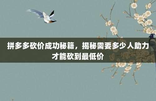 拼多多砍价成功秘籍，揭秘需要多少人助力才能砍到最低价-第1张图片-拼多多助力