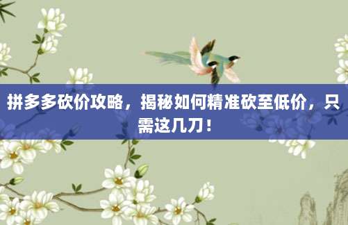 拼多多砍价攻略，揭秘如何精准砍至低价，只需这几刀！-第1张图片-拼多多助力
