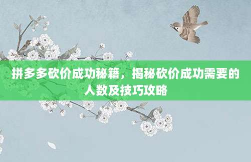 拼多多砍价成功秘籍，揭秘砍价成功需要的人数及技巧攻略-第1张图片-拼多多助力
