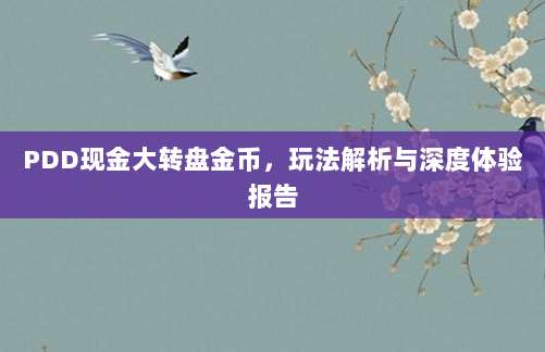PDD现金大转盘金币，玩法解析与深度体验报告-第1张图片-拼多多助力