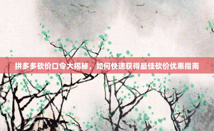 拼多多砍价口令大揭秘,如何快速获得最佳砍价优惠指南-第1张图片-拼多多助力 拼多多砍价口令大揭秘,如何快速获得最佳砍价优惠指南-第1张图片-拼多多助力