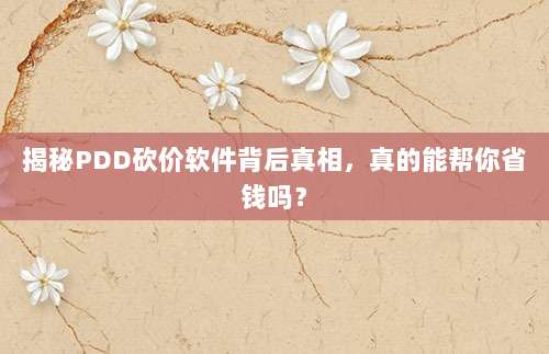 揭秘PDD砍价软件背后真相,真的能帮你省钱吗?-第1张图片-拼多多助力 揭秘PDD砍价软件背后真相,真的能帮你省钱吗?-第1张图片-拼多多助力