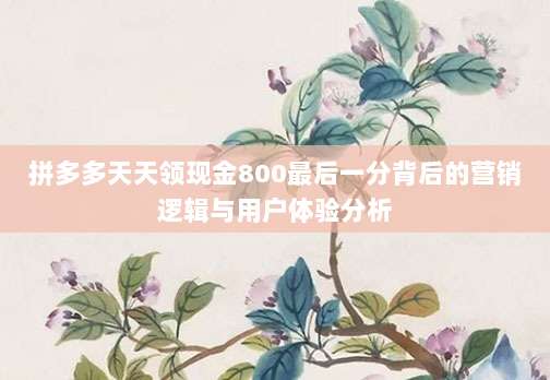 拼多多天天领现金800最后一分背后的营销逻辑与用户体验分析-第1张图片-拼多多助力 拼多多天天领现金800最后一分背后的营销逻辑与用户体验分析-第1张图片-拼多多助力
