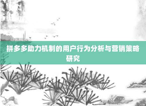 拼多多助力机制的用户行为分析与营销策略研究-第1张图片-拼多多助力