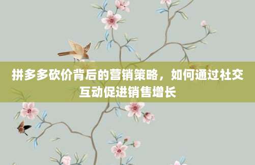 拼多多砍价背后的营销策略，如何通过社交互动促进销售增长-第1张图片-拼多多助力