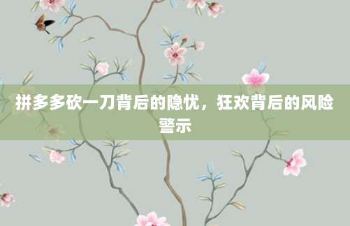 拼多多砍一刀背后的隐忧,狂欢背后的风险警示-第1张图片-拼多多助力 拼多多砍一刀背后的隐忧,狂欢背后的风险警示-第1张图片-拼多多助力
