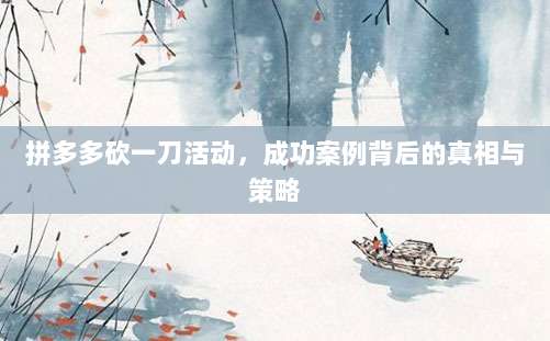 拼多多砍一刀活动，成功案例背后的真相与策略-第1张图片-拼多多助力