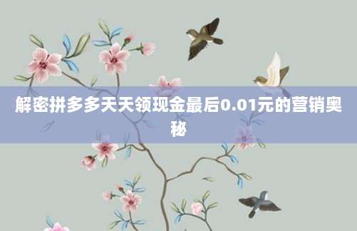 解密拼多多天天领现金最后0.01元的营销奥秘-第1张图片-拼多多助力