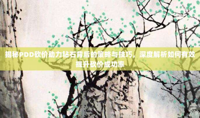 揭秘PDD砍价助力钻石背后的策略与技巧，深度解析如何有效提升砍价成功率-第1张图片-拼多多助力