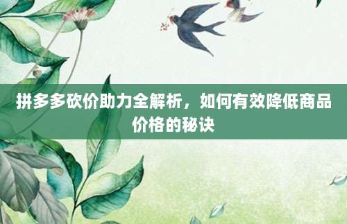 拼多多砍价助力全解析,如何有效降低商品价格的秘诀-第1张图片-拼多多助力 拼多多砍价助力全解析,如何有效降低商品价格的秘诀-第1张图片-拼多多助力