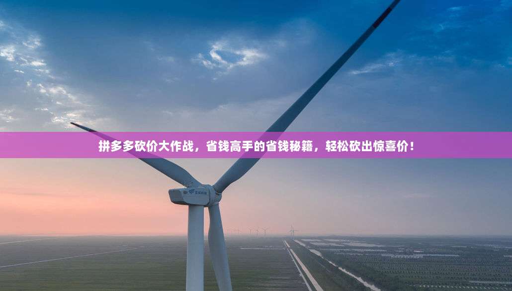 拼多多砍价大作战,省钱高手的省钱秘籍,轻松砍出惊喜价!-第1张图片-拼多多助力 拼多多砍价大作战,省钱高手的省钱秘籍,轻松砍出惊喜价!-第1张图片-拼多多助力