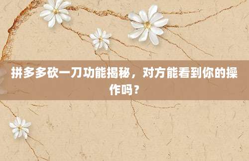 拼多多砍一刀功能揭秘,对方能看到你的操作吗?-第1张图片-拼多多助力 拼多多砍一刀功能揭秘,对方能看到你的操作吗?-第1张图片-拼多多助力
