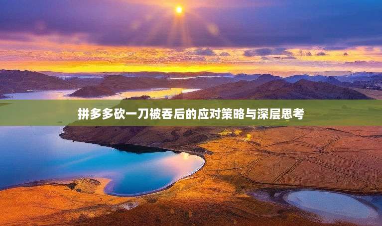 拼多多砍一刀被吞后的应对策略与深层思考-第1张图片-拼多多助力 拼多多砍一刀被吞后的应对策略与深层思考-第1张图片-拼多多助力