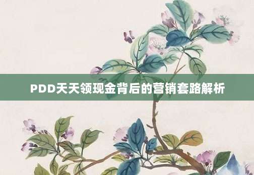 PDD天天领现金背后的营销套路解析-第1张图片-拼多多助力