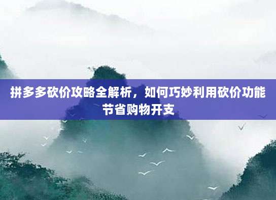 拼多多砍价攻略全解析，如何巧妙利用砍价功能节省购物开支-第1张图片-拼多多助力