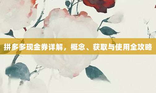拼多多现金券详解，概念、获取与使用全攻略-第1张图片-拼多多助力