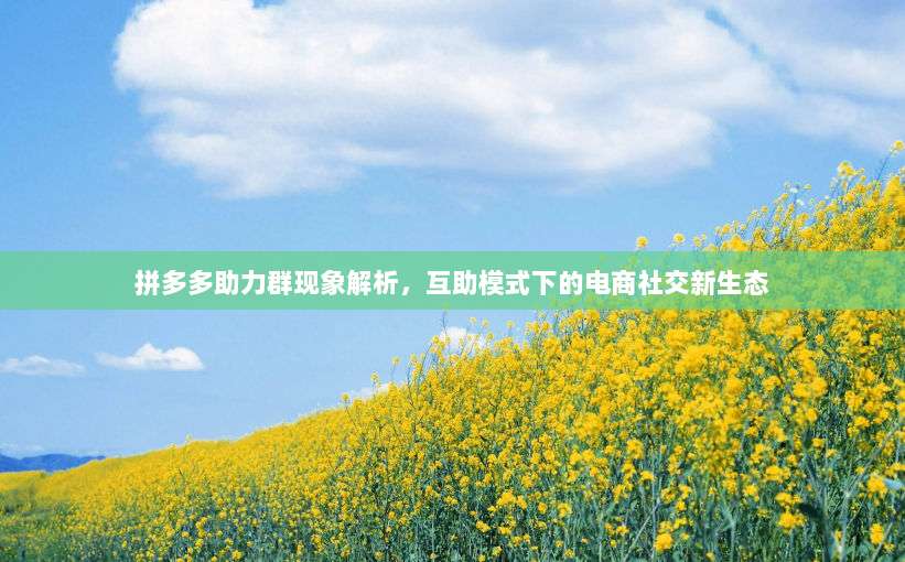拼多多助力群现象解析，互助模式下的电商社交新生态-第1张图片-拼多多助力