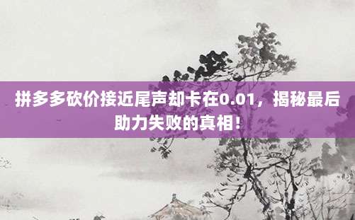 拼多多砍价接近尾声却卡在0.01,揭秘最后助力失败的真相!-第1张图片-拼多多助力 拼多多砍价接近尾声却卡在0.01,揭秘最后助力失败的真相!-第1张图片-拼多多助力