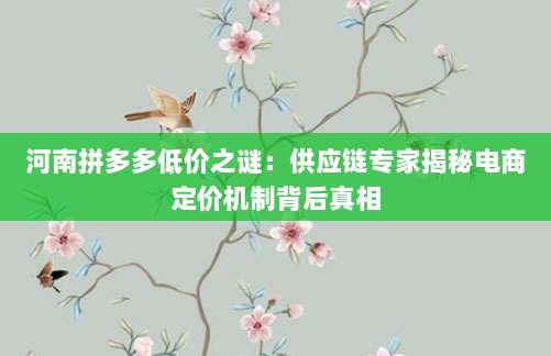 河南拼多多低价之谜:供应链专家揭秘电商定价机制背后真相-第1张图片-拼多多助力 河南拼多多低价之谜:供应链专家揭秘电商定价机制背后真相-第1张图片-拼多多助力