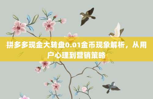 拼多多现金大转盘0.01金币现象解析,从用户心理到营销策略-第1张图片-拼多多助力 拼多多现金大转盘0.01金币现象解析,从用户心理到营销策略-第1张图片-拼多多助力