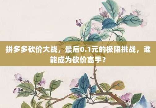 拼多多砍价大战,最后0.1元的极限挑战,谁能成为砍价高手?-第1张图片-拼多多助力 拼多多砍价大战,最后0.1元的极限挑战,谁能成为砍价高手?-第1张图片-拼多多助力