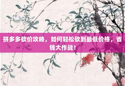 拼多多砍价攻略，如何轻松砍到最低价格，省钱大作战！-第1张图片-拼多多助力