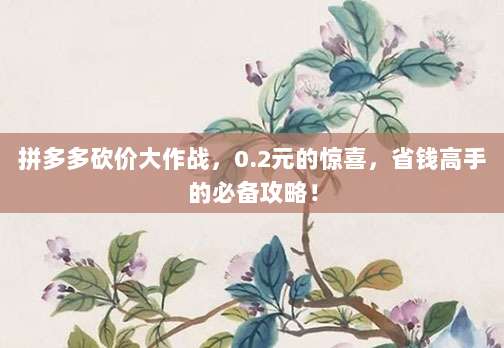 拼多多砍价大作战,0.2元的惊喜,省钱高手的必备攻略!-第1张图片-拼多多助力 拼多多砍价大作战,0.2元的惊喜,省钱高手的必备攻略!-第1张图片-拼多多助力