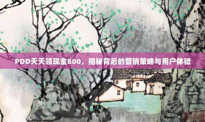 PDD天天领现金800,揭秘背后的营销策略与用户体验-第1张图片-拼多多助力 PDD天天领现金800,揭秘背后的营销策略与用户体验-第1张图片-拼多多助力