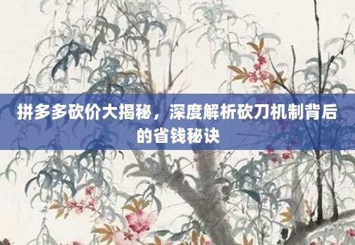 拼多多砍价大揭秘，深度解析砍刀机制背后的省钱秘诀-第1张图片-拼多多助力