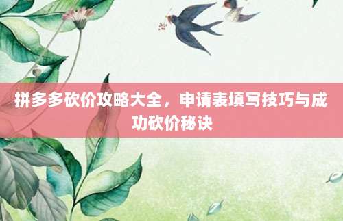 拼多多砍价攻略大全,申请表填写技巧与成功砍价秘诀-第1张图片-拼多多助力 拼多多砍价攻略大全,申请表填写技巧与成功砍价秘诀-第1张图片-拼多多助力