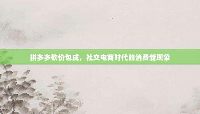 拼多多砍价包成,社交电商时代的消费新现象-第1张图片-拼多多助力 拼多多砍价包成,社交电商时代的消费新现象-第1张图片-拼多多助力