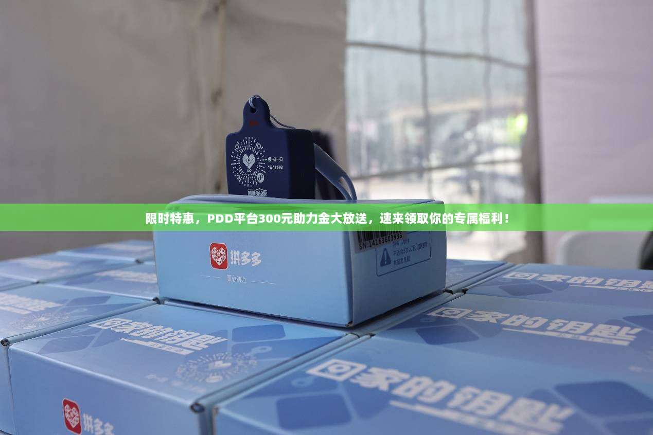 限时特惠，PDD平台300元助力金大放送，速来领取你的专属福利！-第1张图片-拼多多助力