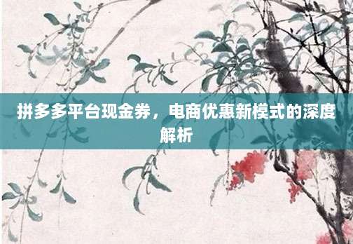 拼多多平台现金券，电商优惠新模式的深度解析-第1张图片-拼多多助力