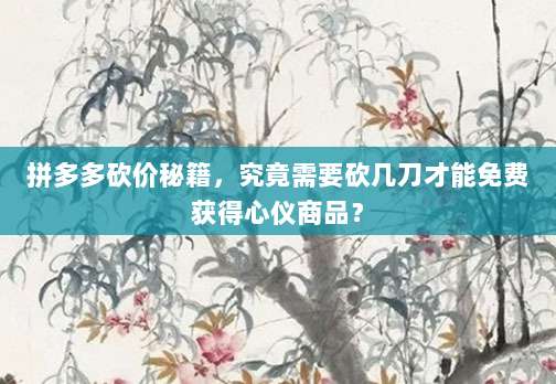 拼多多砍价秘籍，究竟需要砍几刀才能免费获得心仪商品？-第1张图片-拼多多助力