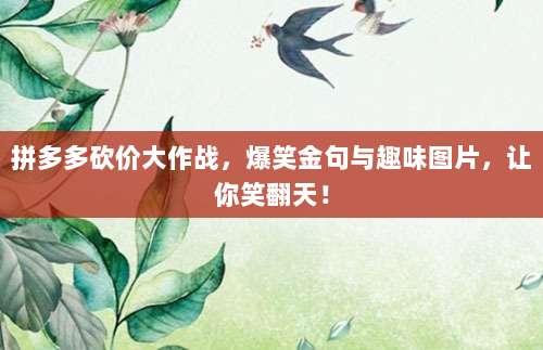 拼多多砍价大作战,爆笑金句与趣味图片,让你笑翻天!-第1张图片-拼多多助力 拼多多砍价大作战,爆笑金句与趣味图片,让你笑翻天!-第1张图片-拼多多助力