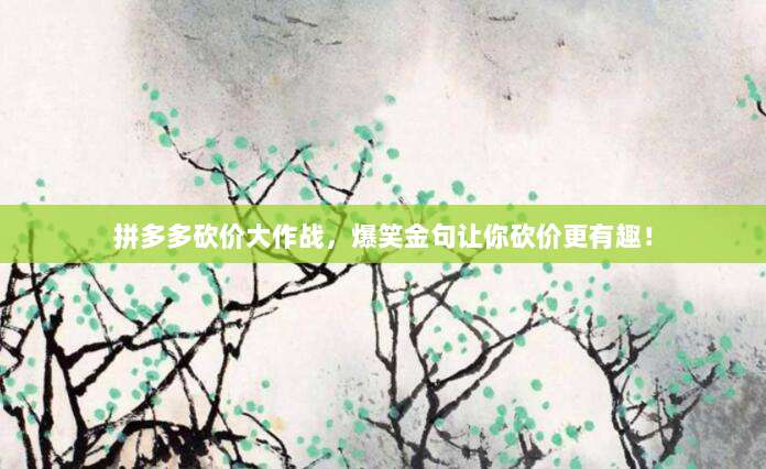 拼多多砍价大作战，爆笑金句让你砍价更有趣！-第1张图片-拼多多助力