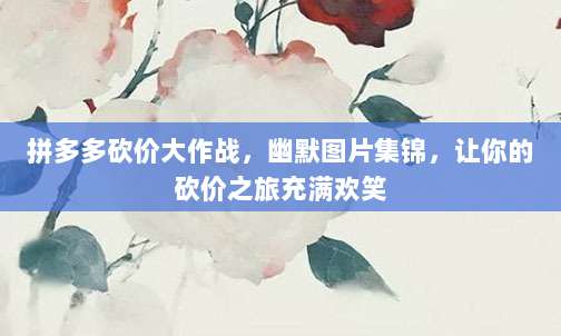 拼多多砍价大作战,幽默图片集锦,让你的砍价之旅充满欢笑-第1张图片-拼多多助力 拼多多砍价大作战,幽默图片集锦,让你的砍价之旅充满欢笑-第1张图片-拼多多助力