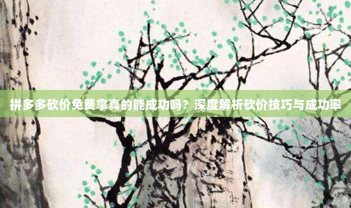 拼多多砍价免费拿真的能成功吗?深度解析砍价技巧与成功率-第1张图片-拼多多助力 拼多多砍价免费拿真的能成功吗?深度解析砍价技巧与成功率-第1张图片-拼多多助力