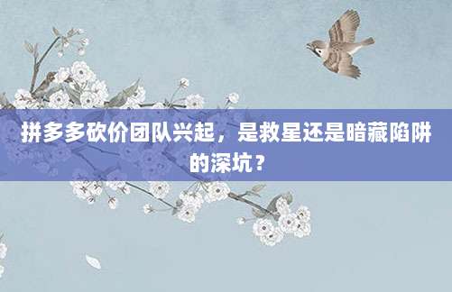 拼多多砍价团队兴起,是救星还是暗藏陷阱的深坑?-第1张图片-拼多多助力 拼多多砍价团队兴起,是救星还是暗藏陷阱的深坑?-第1张图片-拼多多助力
